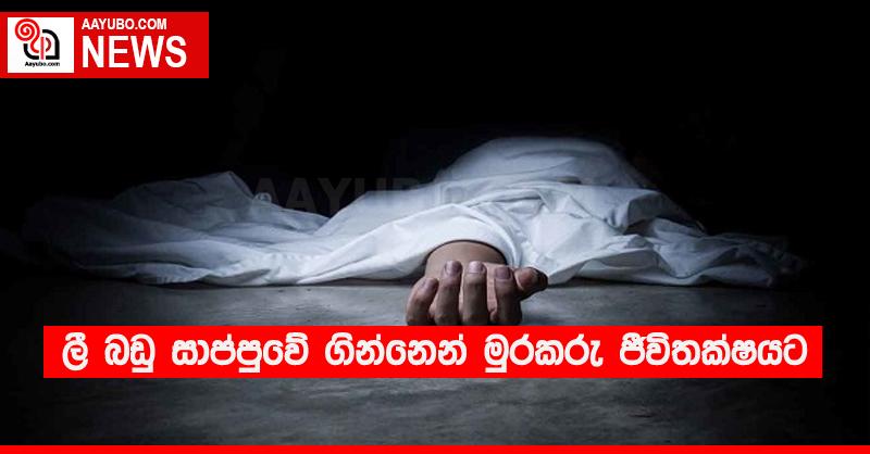 ලී බඩු සාප්පුවේ ගින්නෙන් මුරකරු ජීවිතක්‍ෂයට