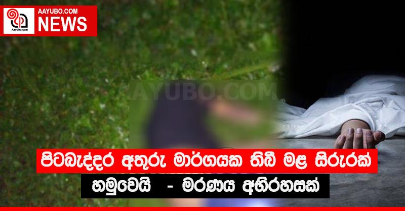 පිටබැද්දර අතුරු මාර්ගයක තිබී මළ සිරුරක් හමුවෙයි - මරණය අභිරහසක්