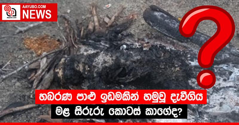 හබරණ පාළු ඉඩමකින් හමුවූ දැවීගිය මළ සිරුරු කොටස් කාගේද?