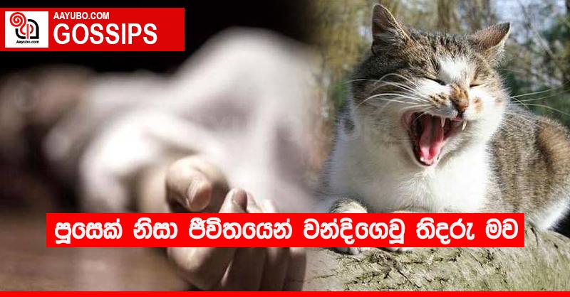 පූසෙක් නිසා ජීවිතයෙන් වන්දිගෙවූ තිදරු මව