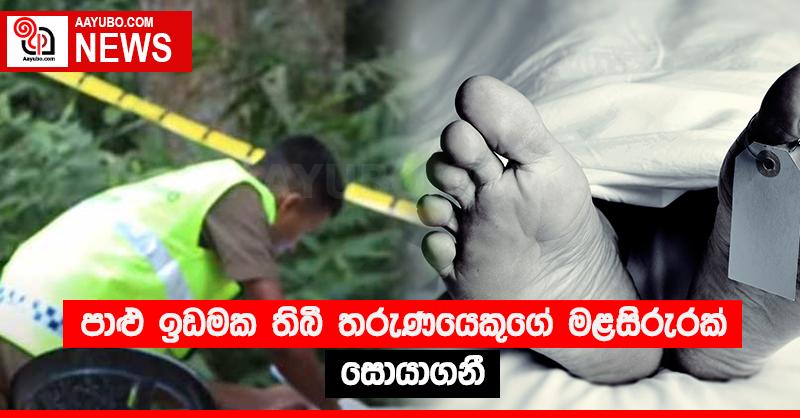 පාළු ඉඩමක තිබී තරුණයෙකුගේ මළසිරුරක් සොයාගනී