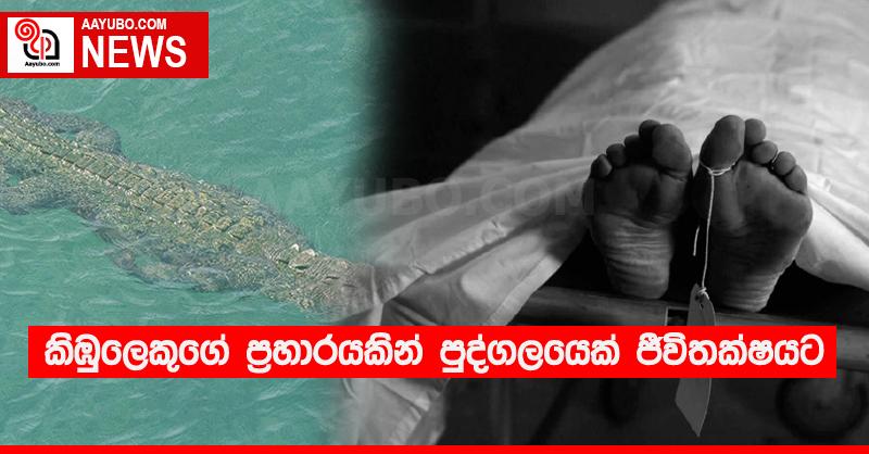 කිඹුලෙකුගේ ප්‍රහාරයකින් පුද්ගලයෙක් ජීවිතක්‍ෂයට