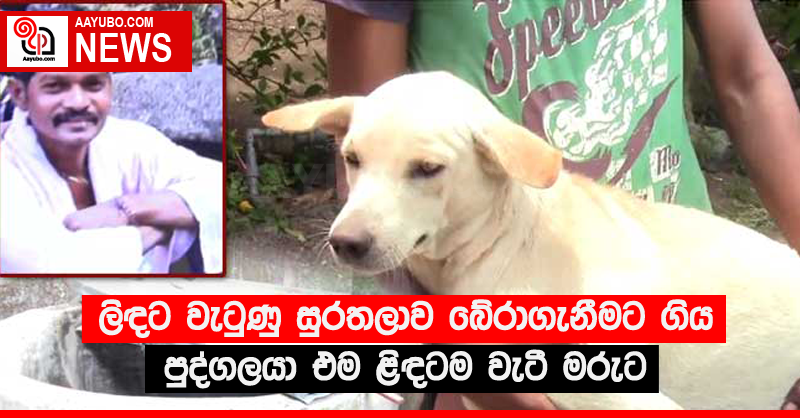 ලිඳට වැටුණු සුරතලාව බේරාගැනීමට ගිය පුද්ගලයා එම ළිඳටම වැටී මරුට