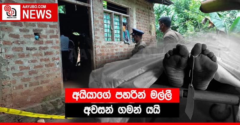 අයියාගේ පහරින් මල්ලී අවසන් ගමන් යයි