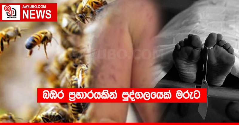 බඹර ප්‍රහාරයකින් පුද්ගලයෙක් මරුට