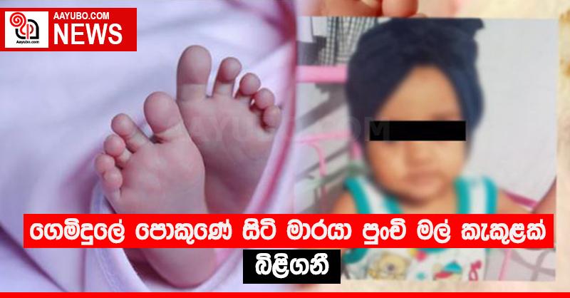 ගෙමිදුලේ පොකුණේ සිටි මාරයා පුංචි මල් කැකුළක් බිළිගනී