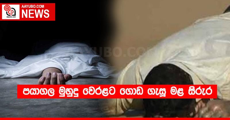 පයාගල මුහුදු වෙරළට ගොඩ ගැසූ මළ සිරුර