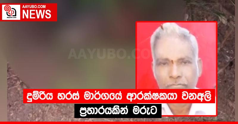 දුම්රිය හරස් මාර්ගයේ ආරක්ෂකයා වනඅලි ප්‍රහාරයකින් මරුට