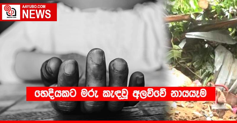 හෙදියකට මරු කැඳවූ අලව්වේ නායයෑම