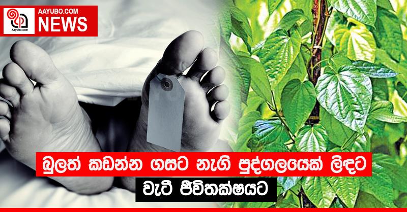 බුලත් කඩන්න ගසට නැගි පුද්ගලයෙක් ලිඳට වැටී ජීවිතක්‍ෂයට