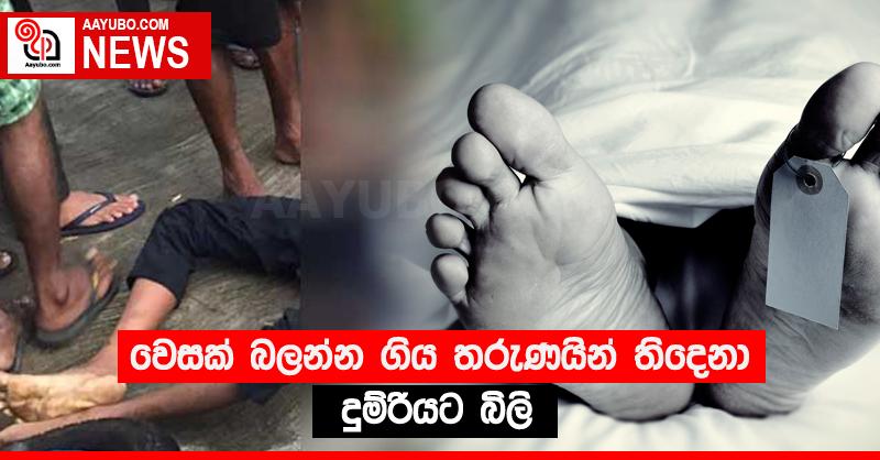 වෙසක් බලන්න ගිය තරුණයින් තිදෙනා දුම්රියට බිලි