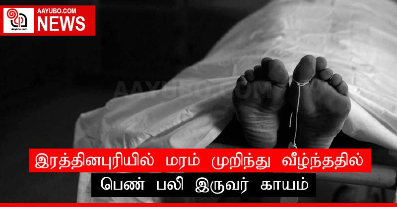 இரத்தினபுரியில் மரம் முறிந்து வீழ்ந்ததில் பெண் பலி; இருவர் காயம்