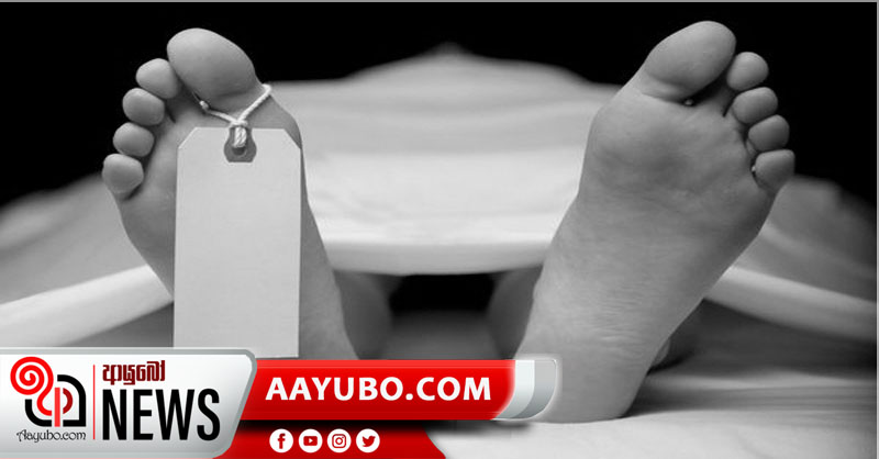 වනජීවී කේෂත්‍ර සහායකයෙකු වන අලි පහරදීමකින් මරුට