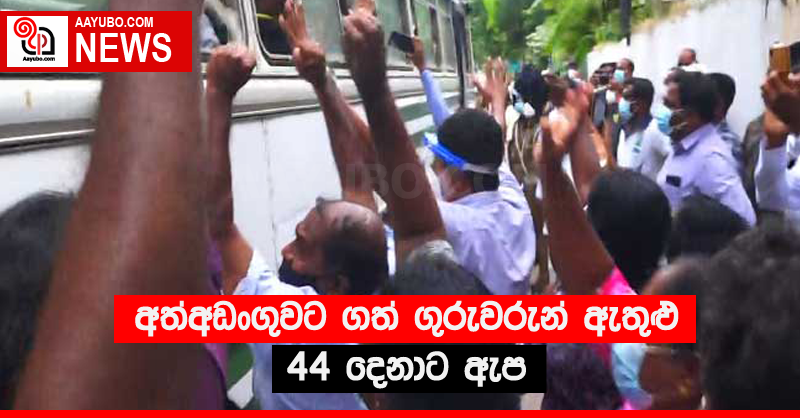 අත්අඩංගුවට ගත් ගුරුවරුන් ඇතුළු 44 දෙනාට ඇප