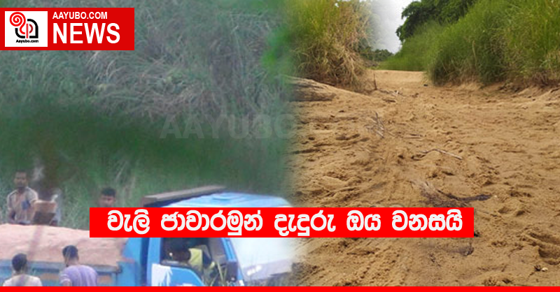 වැලි ජාවාරමුන් දැදුරු ඔය වනසයි