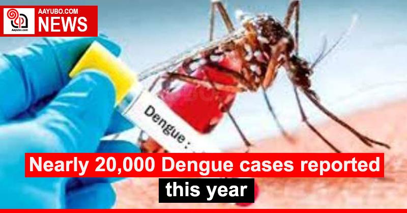 Nearly 20,000 Dengue cases reported this year