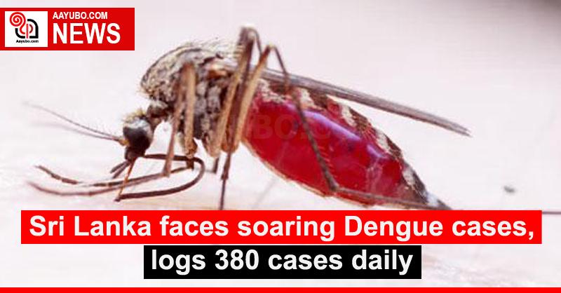 Sri Lanka faces soaring Dengue cases, logs 380 cases daily
