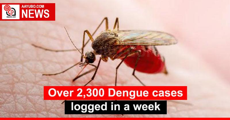 Over 2,300 Dengue cases logged in a week