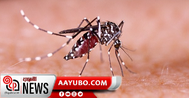 ඩෙංගු රුධිර පරීක්ෂණ සඳහා වන මිල ගණන් ගැසට් කෙරේ