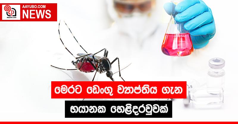 මෙරට ඩෙංගු ව්‍යාප්තිය ගැන භයානක හෙළිදරව්වක්