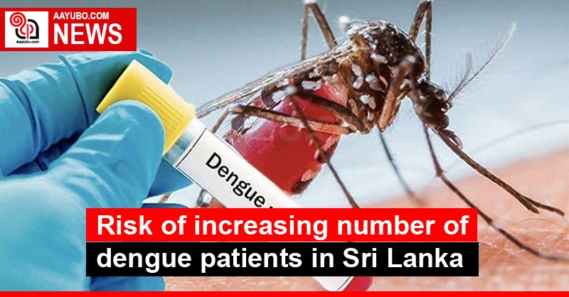 Risk of increasing number of dengue patients in Sri Lanka