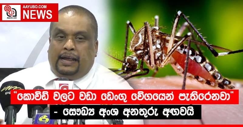 “කොවිඩ් වලට වඩා ඩෙංගු වේගයෙන් පැතිරෙනවා”  - සෞඛ්‍ය අංශ අනතුරු අඟවයි