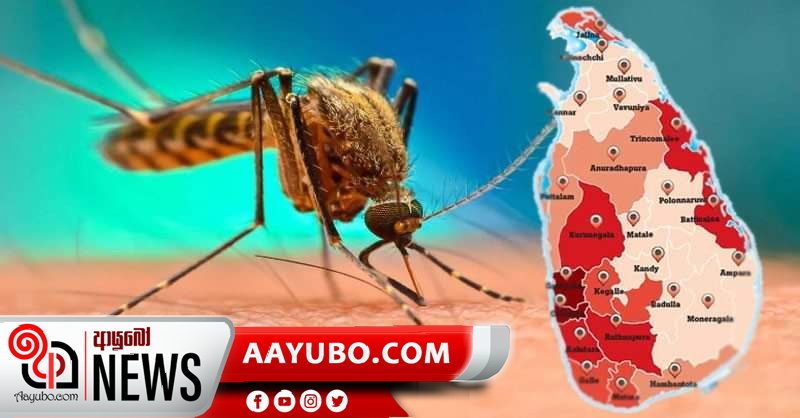 ඩෙංගු සීග්‍රයෙන් ව්‍යප්ත වන කොට්ඨාස පහක්
