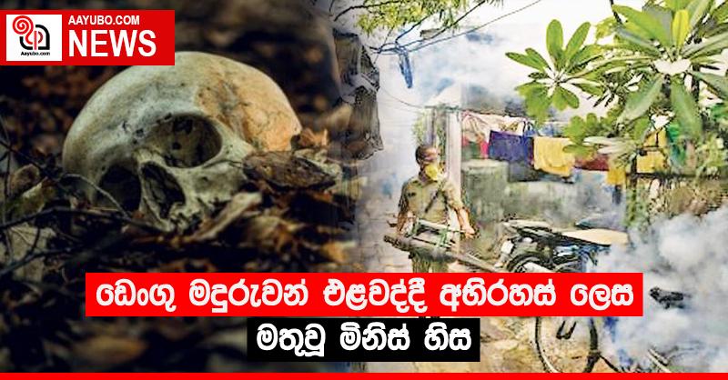 ඩෙංගු මදුරුවන් එළවද්දී අභිරහස් ලෙස මතුවූ මිනිස් හිස