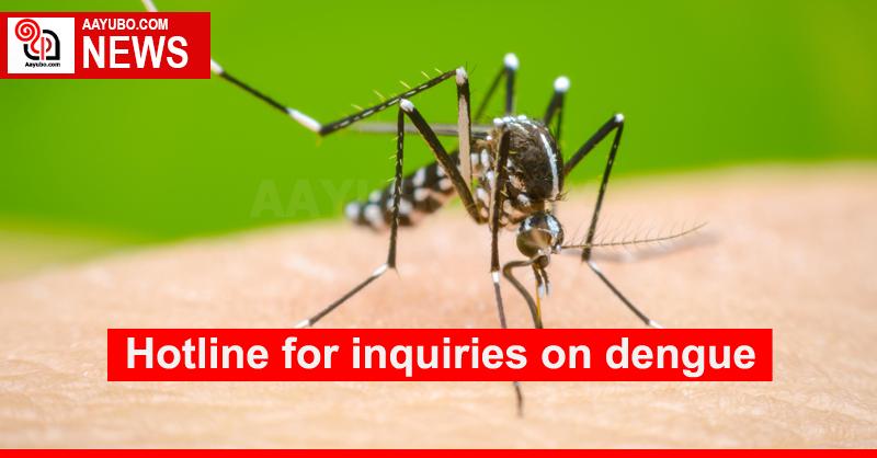 Hotline for inquiries on dengue