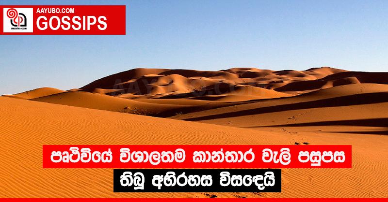 පෘථිවියේ විශාලතම කාන්තාර වැලි පසුපස තිබූ අභිරහස විසඳෙයි