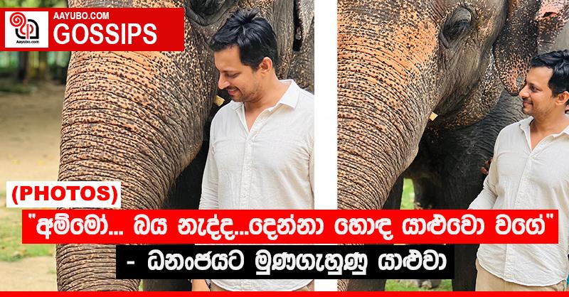 “අම්මෝ... බය නැද්ද... දෙන්නා හොඳ යාළුවො වගේ” - ධනංජයට මුණගැහුණු යාළුවා (PHOTOS)