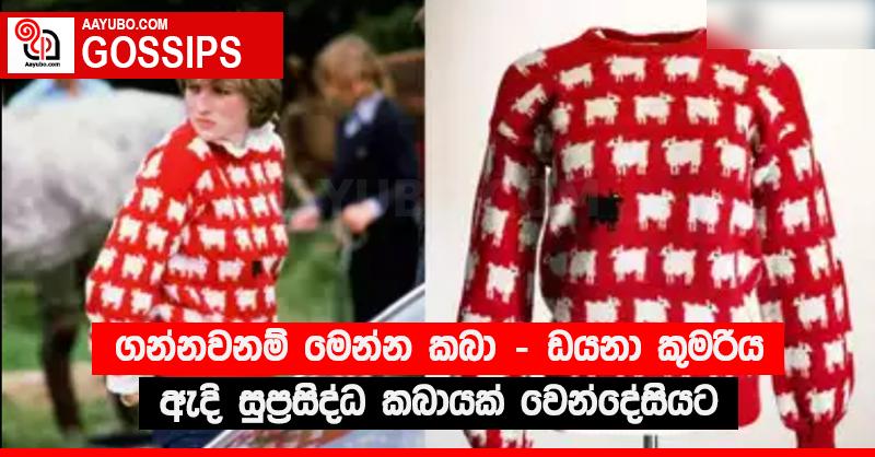 ගන්නවනම් මෙන්න කබා - ඩයනා කුමරිය ඇදි සුප්‍රසිද්ධ කබායක් ‍වෙන්දේසියට