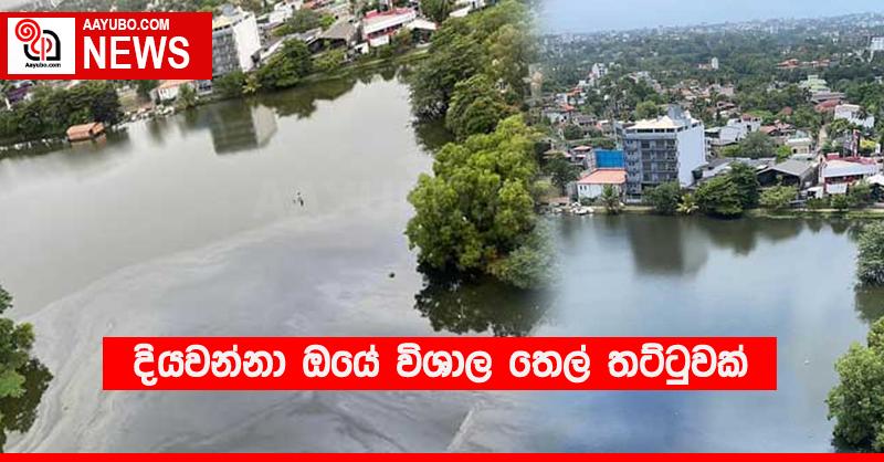දියවන්නා ඔයේ තෙල් තට්ටුවක්
