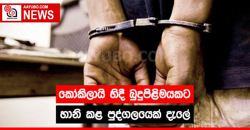 කෝකිලායි හිදී  බුදු පිළිමයකට හානි කළ පුද්ගලයෙක් දැලේ