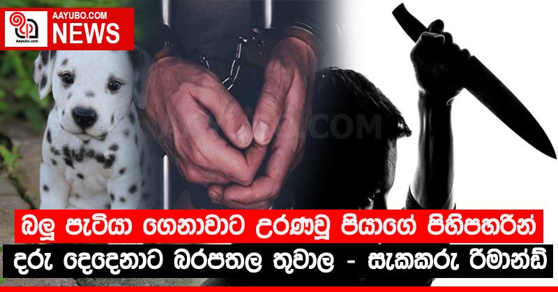 බලූ පැටියා ගෙනාවාට උරණවූ පියාගේ පිහිපහරින් දරු දෙදෙනාට බරපතල තුවාල - සැකකරු රිමාන්ඩ්