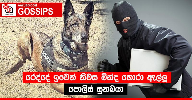 රෙද්දේ ඉවෙන් නිවස බින්ද හොරා ඇල්ලූ පොලිස් සුනඛයා 