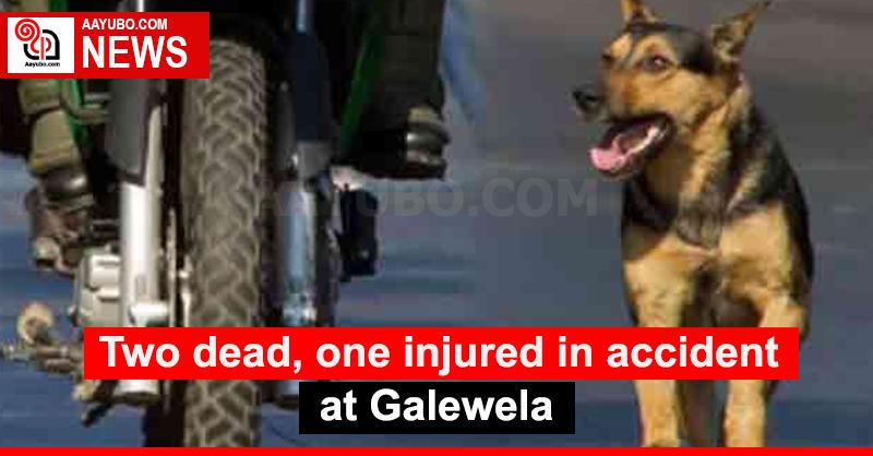 Two dead, one injured in accident at Galewela