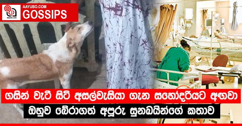 ගසින් වැටී සිටි අසල්වැසියා ගැන සහෝදරියට අඟවා ඔහුව බේරාගත් අපූරු සුනඛයින්ගේ කතාව 
