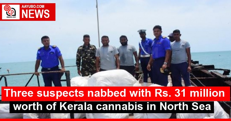 Three suspects nabbed with Rs. 31 million worth of Kerala cannabis in North Sea