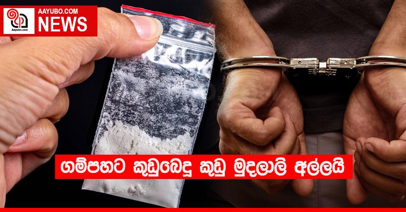 ගම්පහට කුඩුබෙදූ කුඩු මුදලාලි අල්ලයි