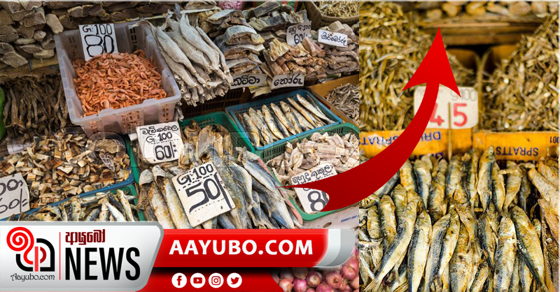 ආනයනික මාළු,කරවල හා උම්බලකඩ සඳහා වූ බදු ඉහළට