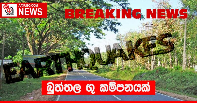 බුත්තල භූ කම්පනයක්