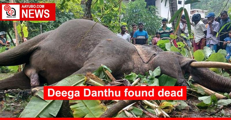 Deega Danthu found dead