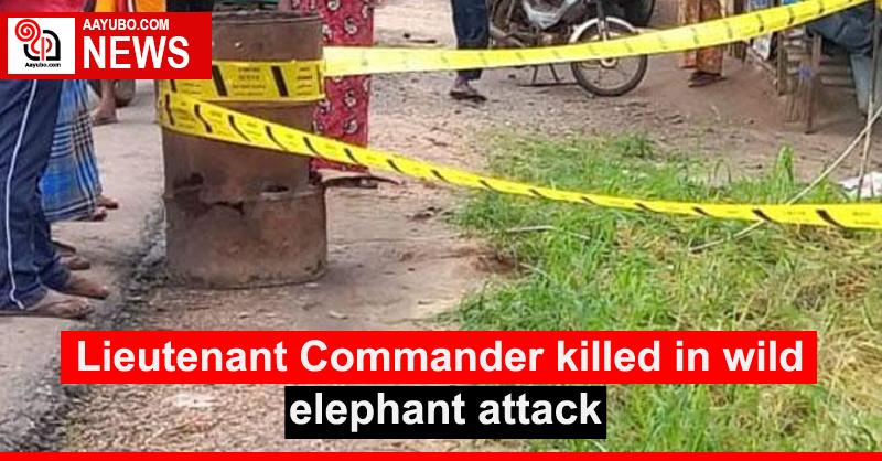 Lieutenant Commander killed in wild elephant attack