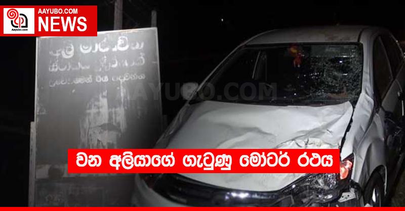 වන අලියාගේ ගැටුණු මෝටර් රථය