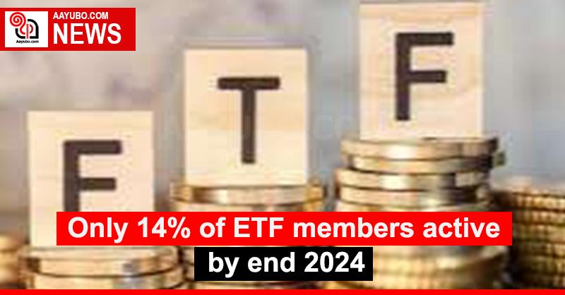 Only 14% of ETF members active by end 2024