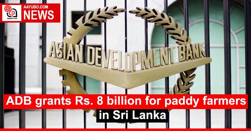 ADB grants Rs. 8 billion for paddy farmers in Sri Lanka