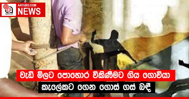 වැඩි මිලට පොහොර විකිණීමට ගිය ගොවියා කැලේකට ගෙන ගොස් ගස් බඳී