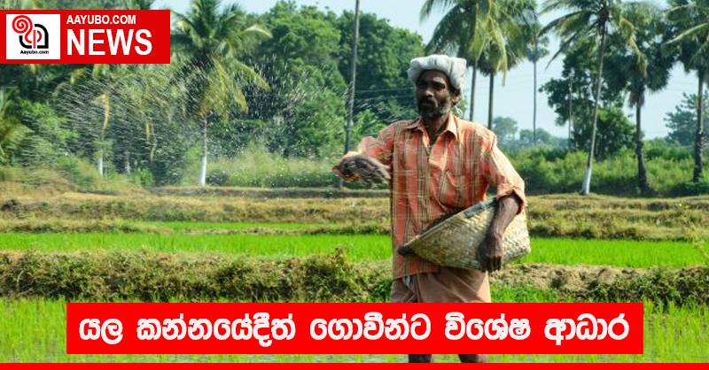 යල කන්නයේදීත් ගොවීන්ට විශේෂ ආධාර