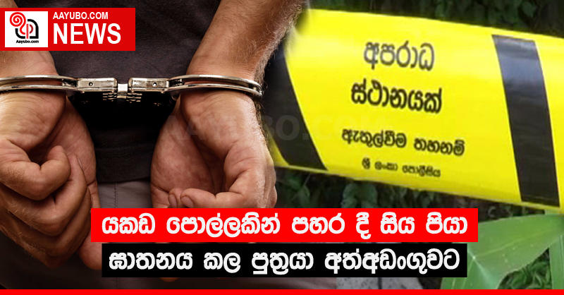 යකඩ පොල්ලකින් පහර දී සිය පියා ඝාතනය කල පුත්‍රයා අත්අඩංගුවට